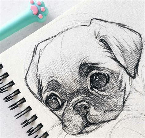 40 Easy Animal Drawing Ideas (Cute Animals to Draw).